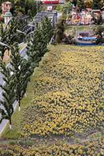 Diese Fleißarbeit darf wohl auf keiner Modellbahn mehr fehlen: Das große Sonnenblumenfeld auf der Modellbahn  Grand Maket Rossia , St.