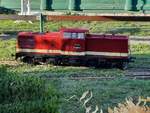 DR 110 861-2 als Maßstab 1:8, am 24.10.2020 im Modellbaupark Auenhain in Markleeberg.