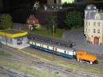 Szene auf der Modellbahn-Anlage des Karow-Lbzer-Modellbahnclub, Plau am See 08.08.2009