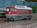 Roco`s Ludmila 132 256 im Mastab 1:87 auf meiner Anlage.