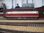 Diesellokomotive BR 119 115-4 -DR- in Spur H0, fotografiert im Mecklenburgisches Eisenbahn- und Technikmuseum (Bw)Schwerin 27.09.2009  