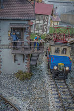 Die Mixnitz E1 auf dem Weg durch Gebüsch und Gras ,....