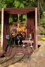 Naturschutz oder Sicherheit ? Vor dieser Frage  steht Willy Jespersen.Eine Fieberkleepflanze (Menyanthes trifolioata), unter Natuschutz  stehend   steckt  ihre Blte durch die Brcke.