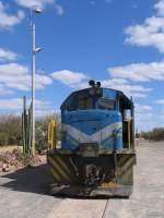 207 mit Gterzug Windhoek-Gobabis auf Bahnhof Gobabis am 7-7-2010.