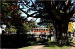 In Christchurch, der größten Stadt der Südinsel Neuseelands, wo sich zum
Aufnahmezeitpunkt der Herbst schon spürbar machte, dreht seit kurzem
wieder die süße Straßenbahn ihre Runden - der Schein der Idylle trübt
jedoch etwas : seit dem Erdbeben 2011 ist Christchurch
schwer in Mitleidenschaft gezogen worden, was auch
die Straßenbahn drei Jahre ruhen hat lassen. März 2014