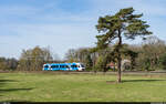 Keolis/Blauwnet LINT 41 / Deurningen, 12. April 2022<br>
Stoptrein Zutphen - Oldenzaal