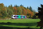 Arriva 379 als Zug 30933 von Arnhem Centraal nach Winterswijk, als Nachschuss, unterwegs im Waldgebied Stillewald bei Wehl, 28.10.2026, Bild 23688.