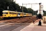 171 und 173 mit Regionalzug 7956 Almelo-Zwolle bei Wierden am 6-7-1994.