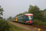 NS D I Museumstriebwagen ist am 14.10.2006 im Plandienst   bei Klarenbeek nach Zutphen unterwegs.