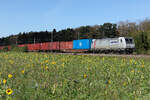 E 186 034 Metrans am 25.9.26 bei Eglharting.