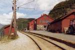 Bahnhof Myrdal 866 m hoch, 20,2 km von Flam und Ende der Flambahn im August 1993, hier noch mit Oberleitungs-Holzmast.