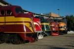 Rundnasen verschiedener Staats- und Privatbahnen prsentien sich vor dem Schuppen des Eisenbahnmuseums in Odense (DK) 08-2004. Jubulumsveranstaltung 50 Jahre NOHAB in Dnemark.