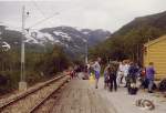 Haltestelle Reinunga 768 m hoch, 18,0 km von Flam am 08.08.1993, diese Station ist ein gnstiger Ausgangspunkt fr Bergwanderungen. Unterhalb dieser Station endet der 889 m lange Vatnahalsen-Tunnel, ein Kehrtunnel mit Aussichtsfenster, an dem der Zug im Schritttempo vorbei fhrt.