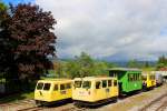 Die   XERL-ARMADA  der Stainzer Lokalbahn´und inmitten das einzig erhalten Fahrzeug der Fürst Lichtesteinschen Waldbahn Deutschlandsberg 
10.05.2014