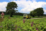 Nächste Woche wenn die Sonnenrosen blühen muss ich wohl nochmal zu der Farbenfrohen Blumenzeile kurz nach Neudorf in der Weststeiermark. SKL X626.205 auf seinem Weg nach Kraubath am 2.07.2016. 