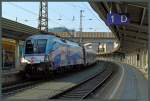 1116 251 hält am 09.08.2015 bei hochsommerlichen Temperaturen mit dem Ski-Austria-Railjet im Bahnhof Kufstein. Der farblich auffällige Zug bewirbt den österreichischen Skisport. 