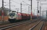 1116 246  Bundesheer  bei der Durchfahrt durch den Bahnhof Marchtrenk am 24.