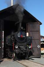 Am Morgen des 30.8.2026 rollt die 93.1332 der Nostalgiebahnen in K�rnten aus dem Heizhaus am Bahnhof Weizelsdorf um ihren Personenzug anzuspannen.