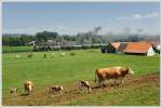 Bei der Hinfahrt war die Weide vom „Koberl“ noch voller Kühe. Bei der Retourfahrt war es ihnen bereits zu warm, und sie suchten Schutz im Schatten. Eine Kuh mit ihrem Kalb bekam ich gerade noch vor die Linse. In weiterer Folge mussten sie für eine kleine Herde einspringen. Die beiden Pferde vom „Koberl“ habe ich bereits im April fotografiert. SPz 8532 am 4.7.2012 bei der Retourfahrt von Wies-Eibiswald nach Premstätten-Tobelbad, kurz vor der Haltestelle St. Peter im Sulmtal aufgenommen.