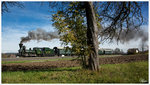 29.671 der Graz-Köflacher Bahn fährt mit dem Sonderpersonenzug 8524/8544 von Wies-Eibiswald nach Lieboch, aufgenommen nahe Bergla.  
29.10.2016