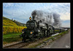 310.23 fährt mit SDZ 17264 von Wien Heiligenstadt nach Spitz an der Donau. 
Dürnstein Brücke 28_10_2016