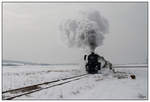 Dampf trifft Hund -52.7612 mit Sdz R 16102 von Wien Heiligenstadt nach Ernstbrunn.
Mollmannsdorf 23.1.2010