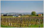 629.01 mit ihrem Sonderzug R 16258 von Wien nach Aggsbach Markt in der Wachau am 19.4.2009 kurz vor der Einfahrt in den Bahnhof Hadersdorf am Kamp.