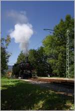 Dampflok 93 1332 der NBiK beim Strzen in Ferlach. 
21.8.2011