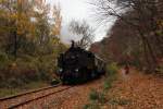 Aus der Waldmhle (Wam) kommender Sonderzug nach Wien Liesing (Lg) hier zum sehen die am Zugschlussbefindliche 93 1420; am 11.11.2012