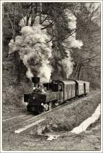 Auf der Feistritztalbahn fhrt die Schmalspurdampflok U8 mit einem Sdz, fr die “The Railway Touring Company” aus England von Weiz nach Birkfeld.