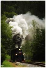 Auf der Feistriztalbahn fhrt die ex bosnische Dampflok 83-180 mit einem Dampfbummelzug von Weiz nach Birkfeld.
