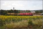 ÖBB 2016.022 und 2016.008 bringen einen schweren Gleisbauzug von Fischamend Steg zum Flughafen Wien. (12.07.2017)