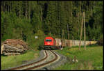 Von Frantschach nach Zeltweg zieht die 2016.058 den 64528 durch Wiesenau. 19.05.2017