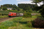 2016 041 mit einem Güterzug als Arlbergumleiter in der Bodolzer Kurve nach Lindau. 23.8.18