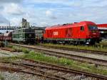 2043.53  Reblaus-Express  von AUSTROVAPOR trotzt samt Flachwagenzug der 2016 063-7, Bhf. RIED; 190821