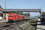 �BB 2016 100 und eine weitere 2016 durchfahren mit einem kurzen G�terzug den Bahnhof Seekirchen am Wallersee, 23.09.2026