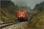 Teleaufnahme der Diesellok 2016 049, welche mit einem Holzzug von Zeltweg nach Frantschach unterwegs ist.
1.10.2009