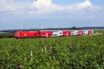 2016 006 brachte am 05.07.2010 R7765 von Wien Meidling nach Neckenmarkt-Horitschon, hier kurz vor dem Zugendbahnhof.