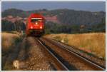 2016 091 fhrt mit Holzzug 87604 von Zeltweg nach Pls. 
Fohnsdorf 14.07.2010