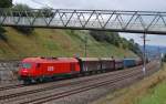 Ein Verschubgterzug bespannt mit der 2016 076
steuert am 17.09.2010 ein auf Halt stehendes
Ausfahrsignal im Bahnhof Wartberg/Kr.an.