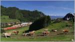 Und wieder einmal eine Landschaftsaufnahme ;O)
Auch noch im Bild ... Ein 2016er Tandem mit dem Gterzug 55555 von Zeltweg nach Frantschach.
Eppenstein 30.5.2011