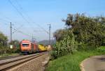 Am 3.10.13 war 2016 905 zusammen mit 1216 901 unterwegs.