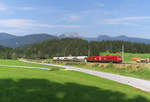 2016 041 + 1016 004 sind mit dem Güterzug Vils/Reutte - Hall auf der Mittenwaldbahn unterwegs. Der Zug hat das Außerfern umrundet, nun steht die Fahrt vorbei am Karwendelgebirge an. Bahnstrecke 5504 München - Mittenwald kurz vor der Schmalenseehöhe am 15.09.2016