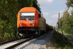 2016 905 (RTS) im Bauzugdienst in Niederroth (12.08.2007)