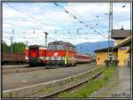 Zwei Dieselloks 2043 044 und 2043 555 (ehemalige Prbichllok) sind am 18.06.2007 im Bahnhof Zeltweg zu sehen.