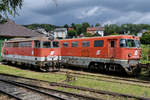 Die Diesellokomotiven 2043 555-8 aus dem Jahr 1973 & 2050 011-2 aus dem Jahr 1961 waren Mitte August 2020 im Lokpark Ampflwang zu sehen.