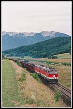 2043 063 und 2043 555 ziehen am 8.08.2002 einen Güterzug bei Aich im Jauntal über die Jauntalbahn.