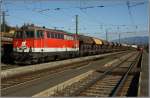 Diesellok 2043 062 fhrt mit einem Schotterzug zu Gleisbauarbeiten in Fohnsdorf. 
Zeltweg 18.10.2008 