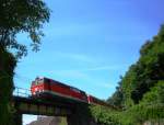 2043 025-2 fhrt mit EZ 1999 durch Marbach an der Donau. (21.7.09)