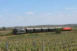 2043 053 mit der am Zugschluss befindlichen 2050 009 als R 16972 von Retz (R) nach Drosendorf. Hier befindet sich der Zug in den Retzer Weinberge; am 04.05.2014